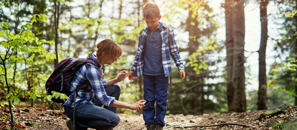 Quelles huiles essentielles utiliser contre les tiques ?